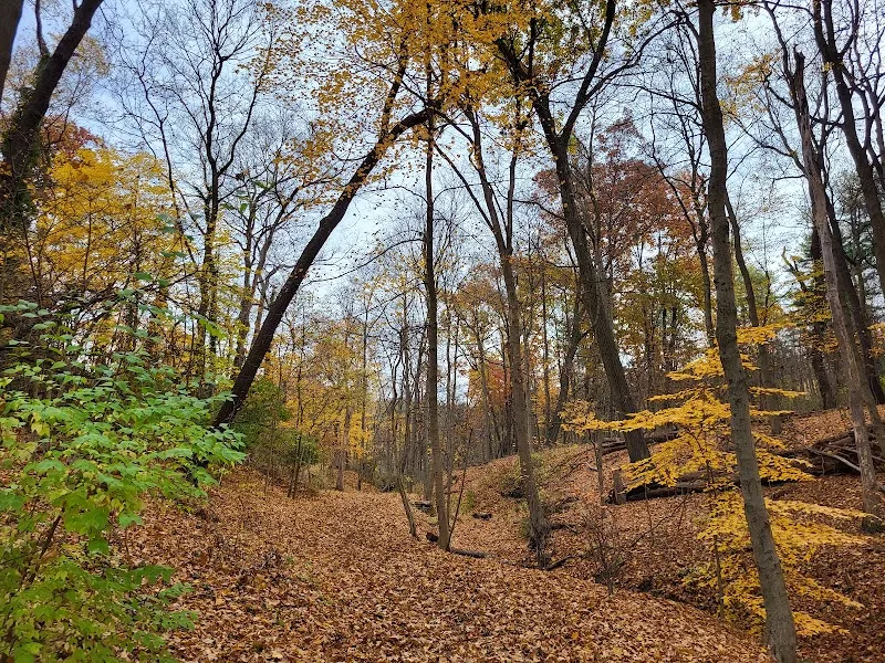 Bird Park park in Mount Lebanon, PA