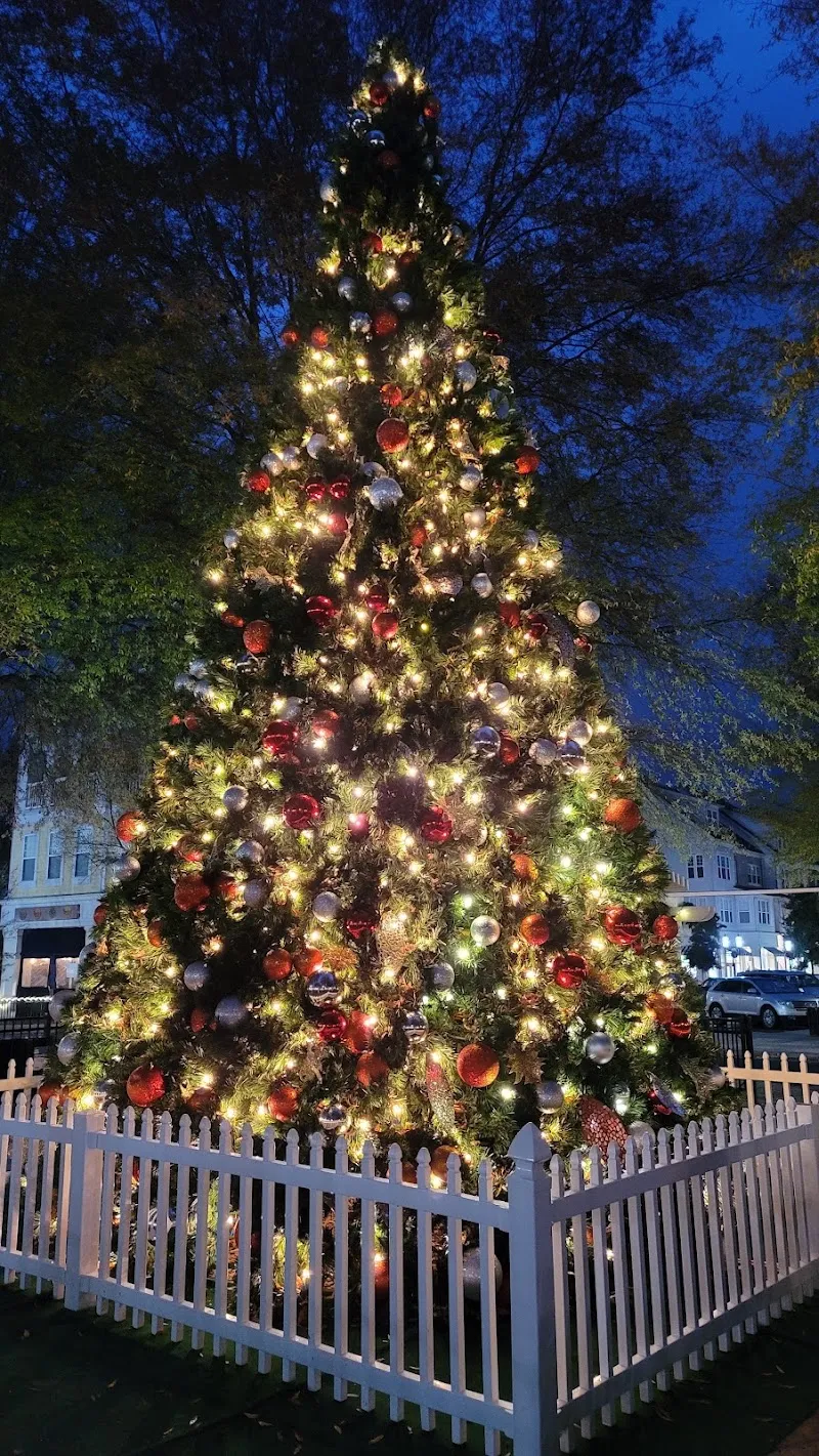 Birkdale Village neighborhood in Lake Norman, NC