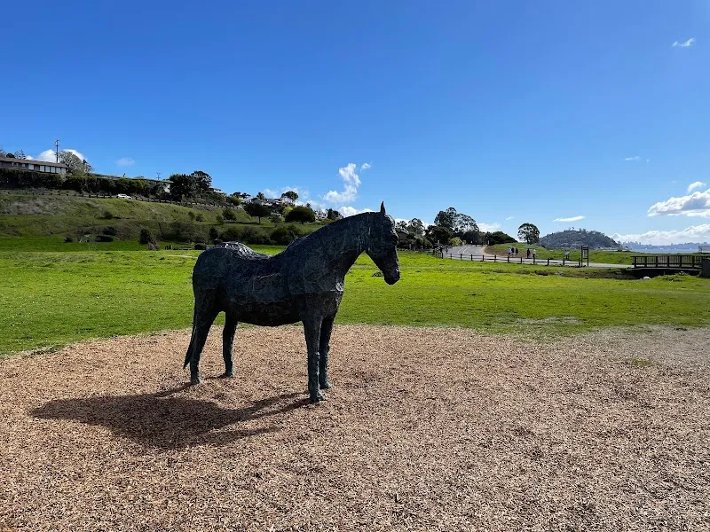 Blackie's Pasture park in Tiburon, CA
