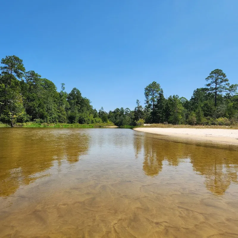 Blackwater Canoe Rental service in Bagdad, FL