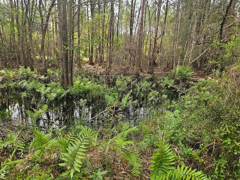 Blackwater Heritage State Trail - Bagdad Access outdoor adventure in Bagdad, FL