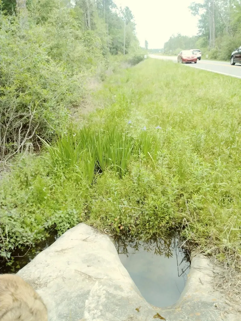 Blackwater Heritage State Trail route in Milton, FL