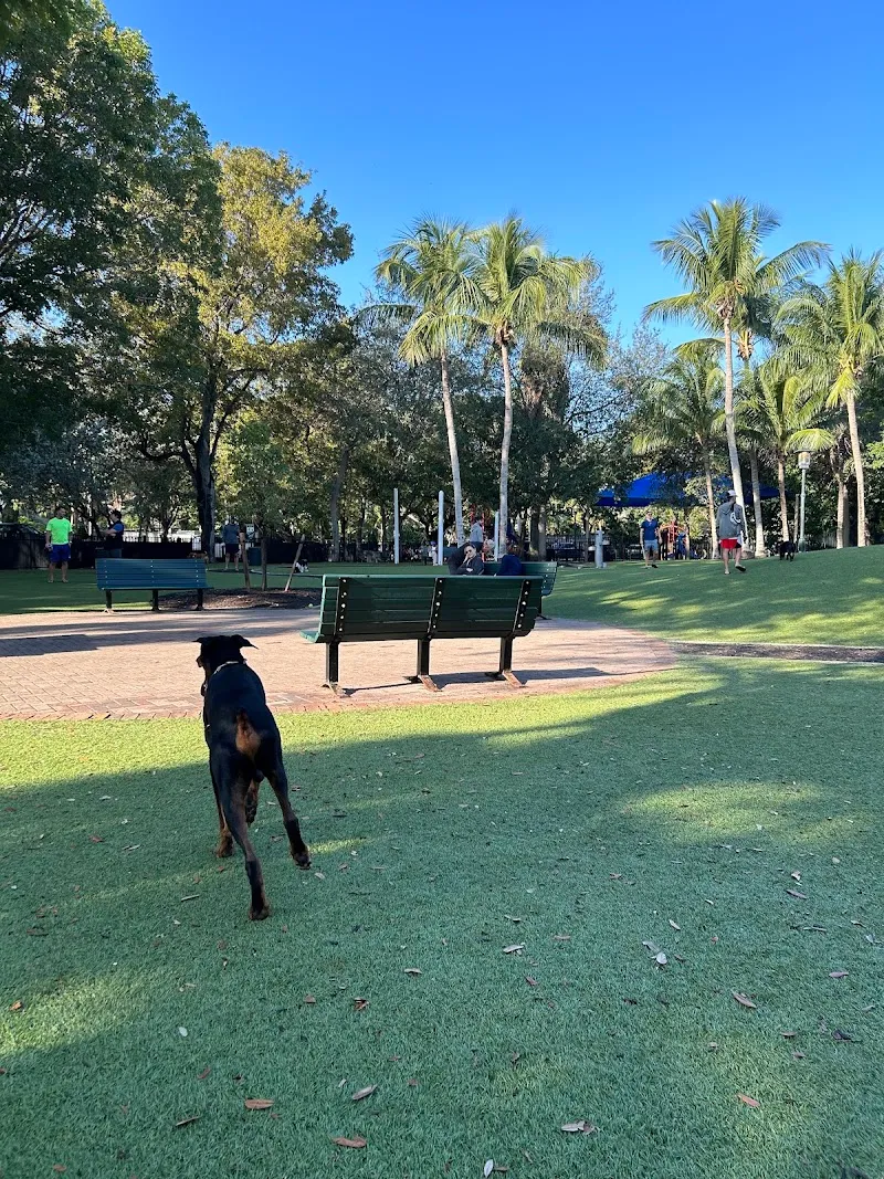 Blanche Park dog park in Coconut Grove, FL