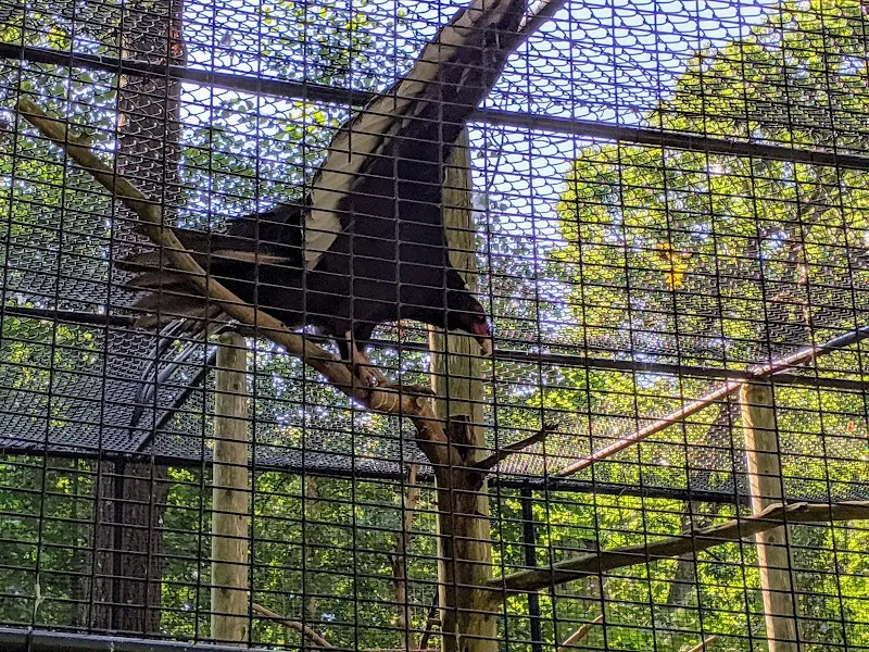 Blue Hills Trailside Museum museum in Milton, MA