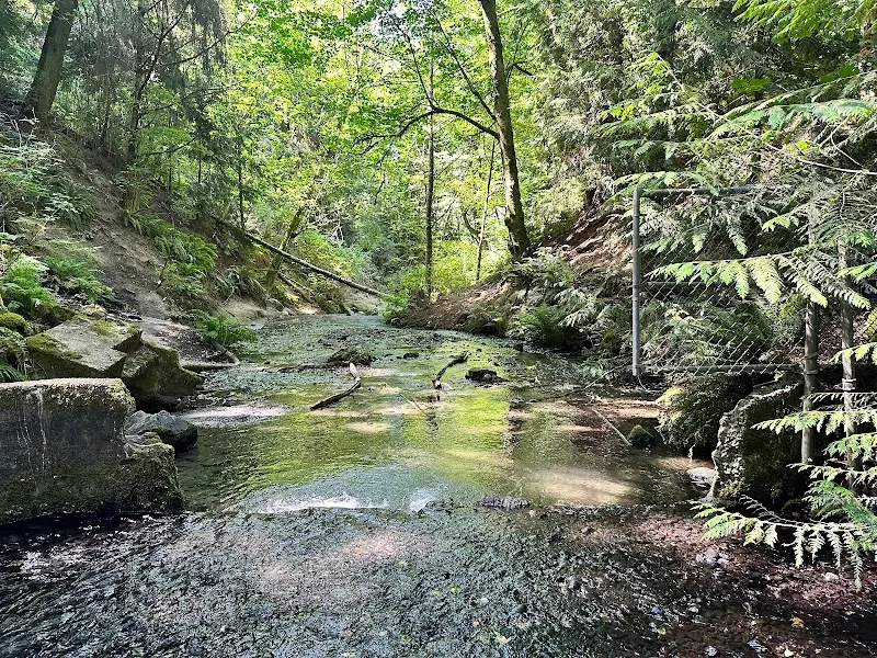 Boeing Creek Park park in Shoreline, WA