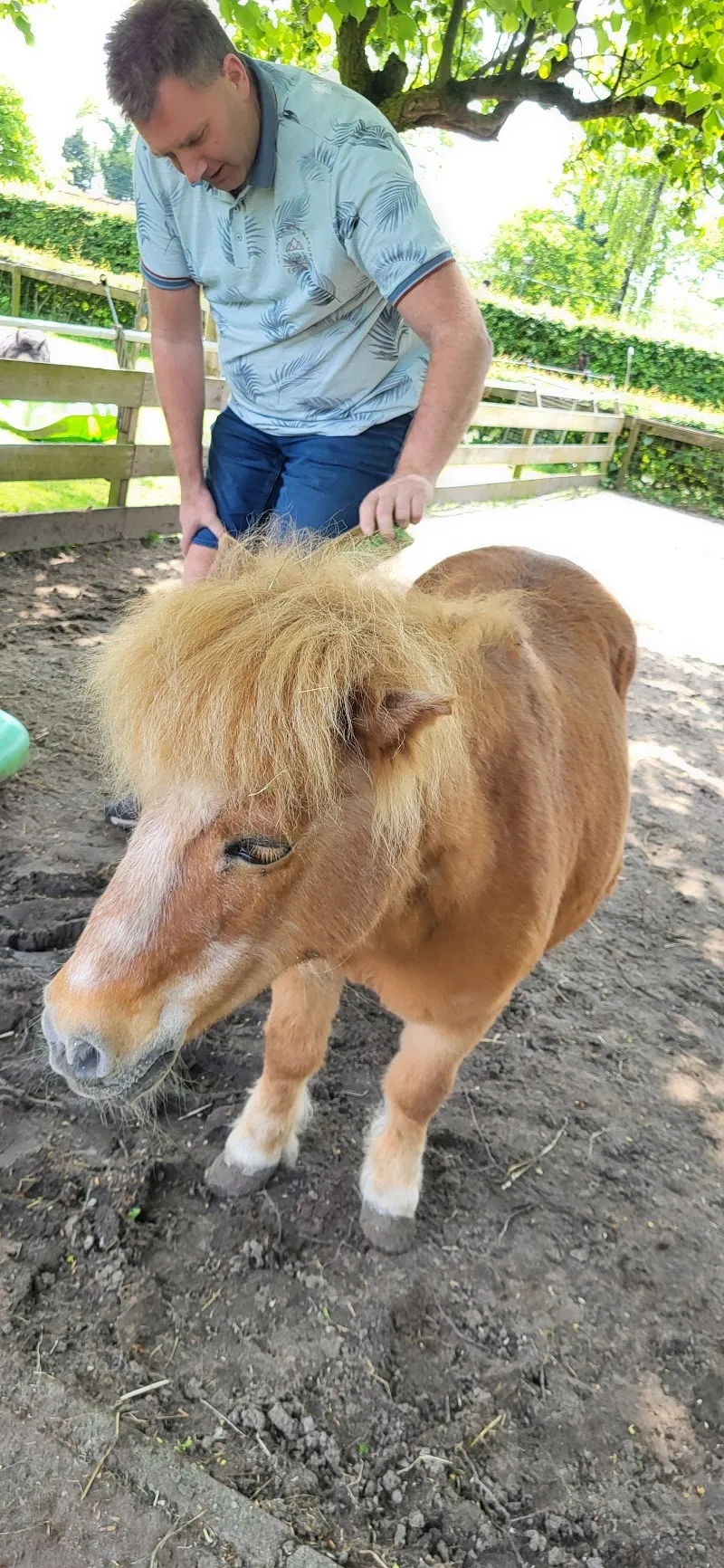 Boerderij De Watertuin farm in Bussum, NH