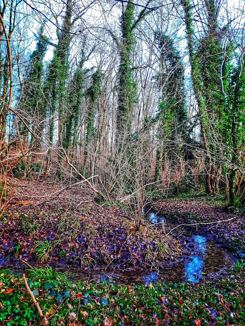 Bois du Laerbeek nature preserve in Jette, BRU