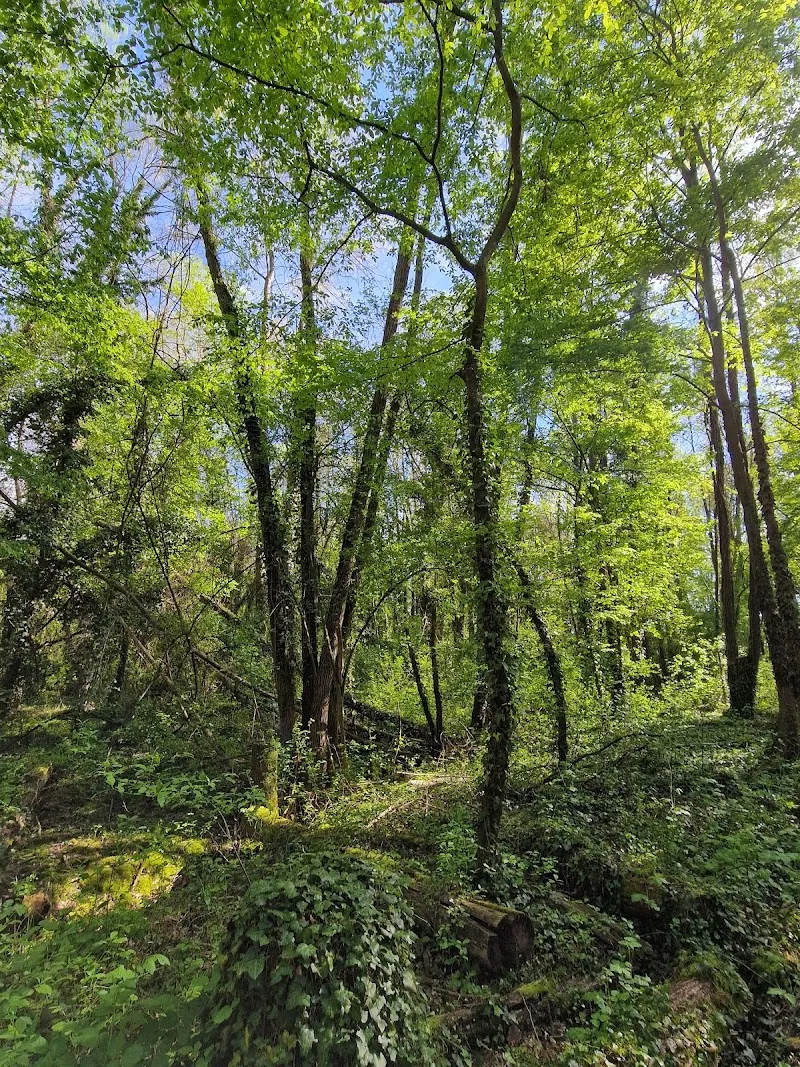 Bosco del Parauro museum in Stra, VE