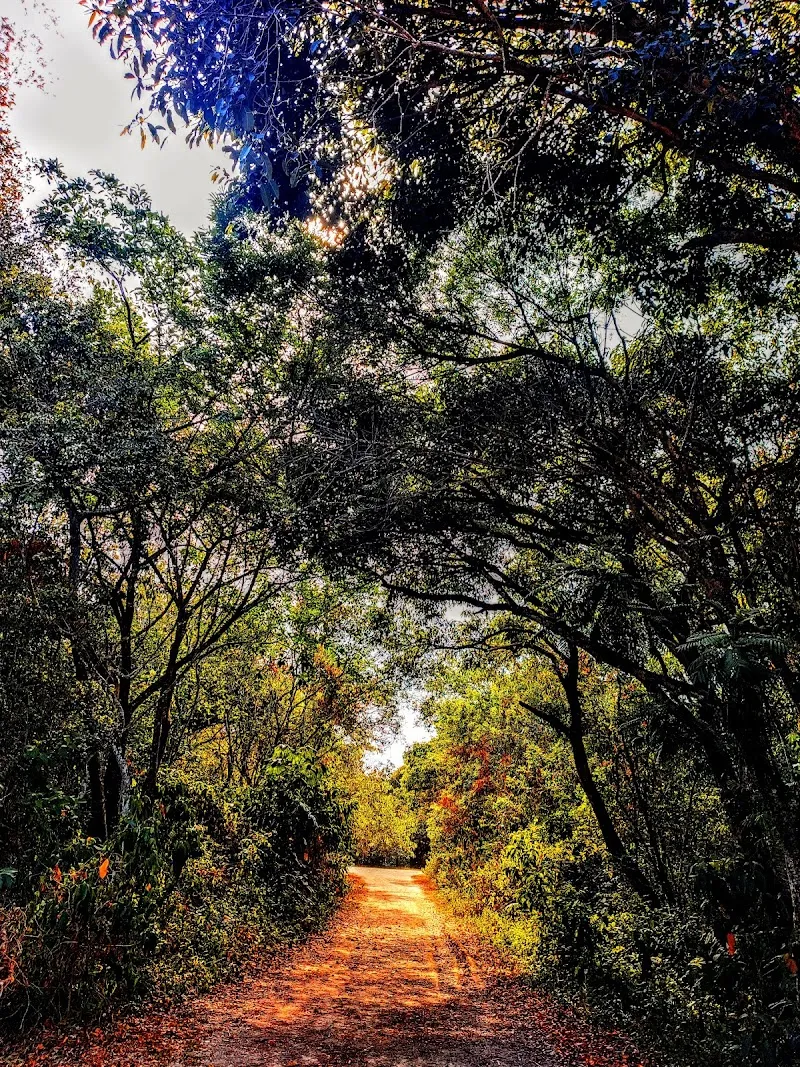 Bosque da Barra city park in Jacarepaguá, RJ