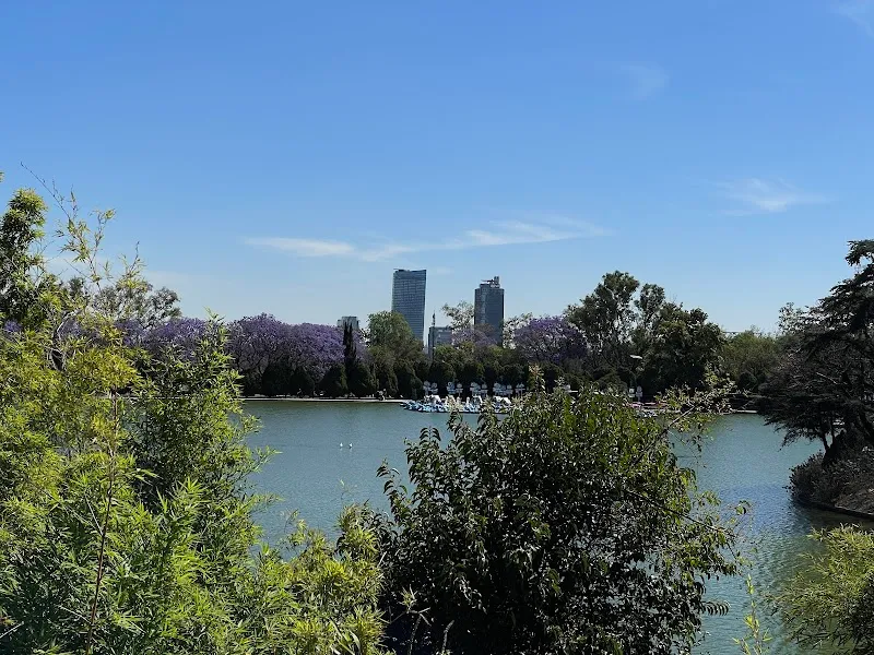 Bosque de Chapultepec II Sección sublocality level 1 in Cuajimalpa, CDMX
