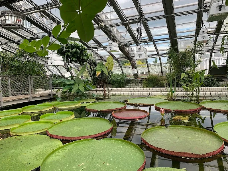 Botanical Garden and Botanical Museum botanical garden in Zehlendorf, BE