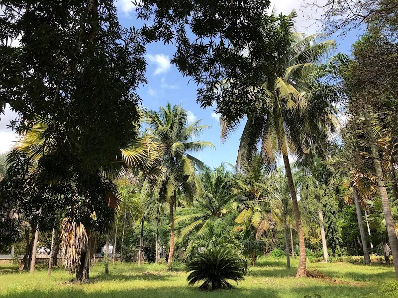 Botanical Garden botanical garden in Dar es Salaam, DS