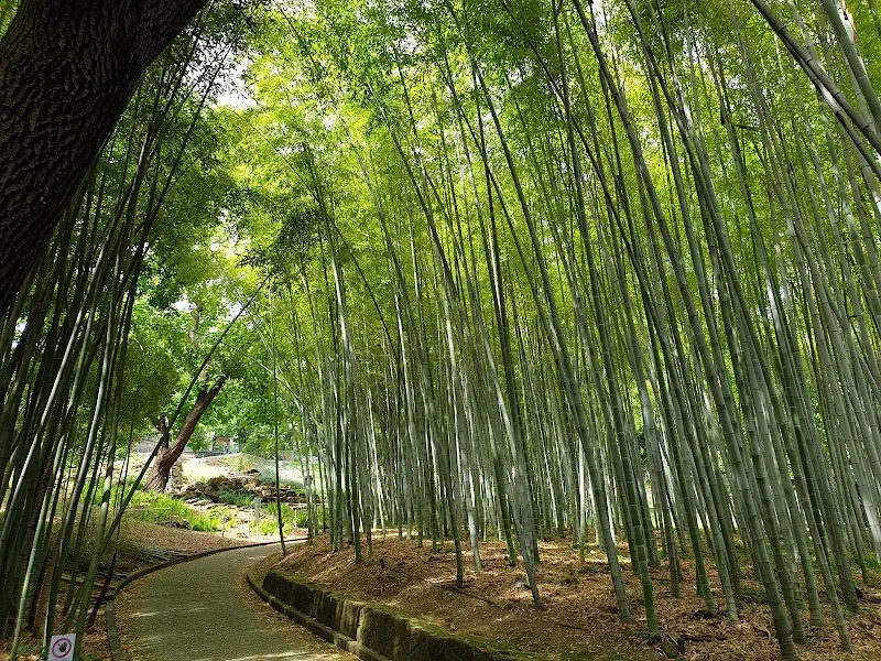 Botanical Garden of Rome botanical garden in Rome, LZ