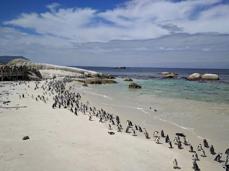 Boulders Beach tourist attraction in Simonstown, WC
