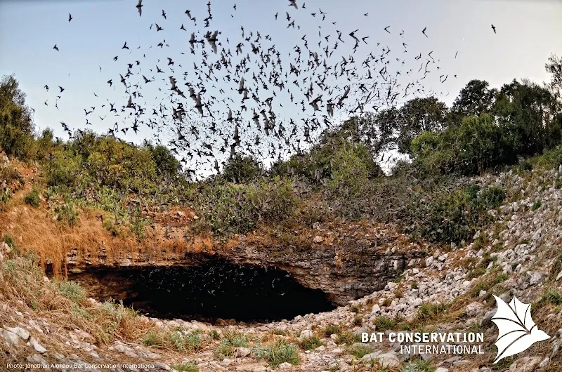 Bracken Cave Preserve (Bat Conservation International Inc) nature preserve in Bulverde, TX