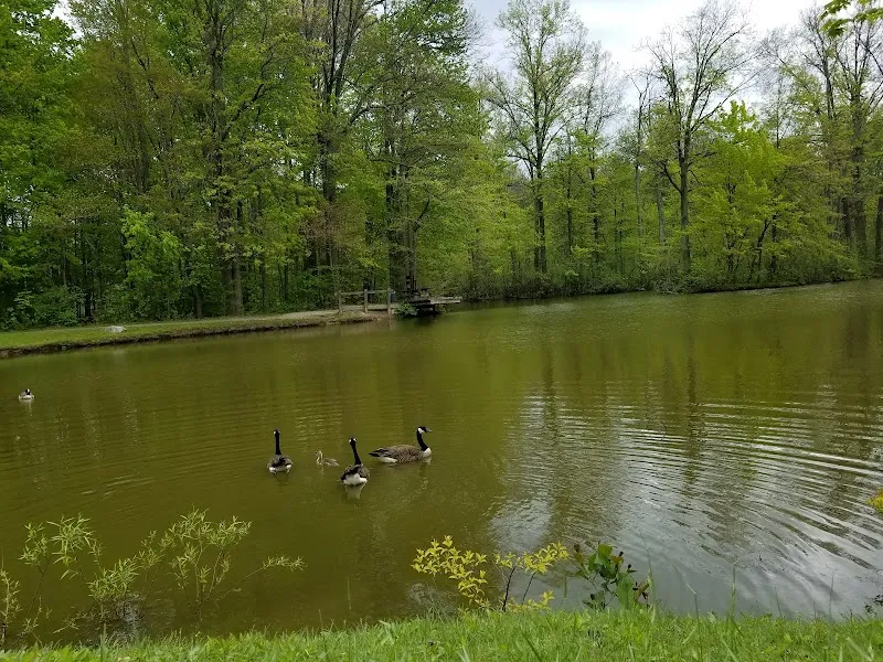 Bradley Woods Reservation park in Westlake, OH