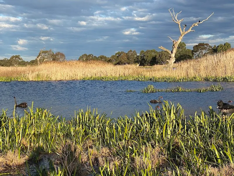Braeside Park Wetlands (Parks Victoria) nature preserve in Bayside, VIC