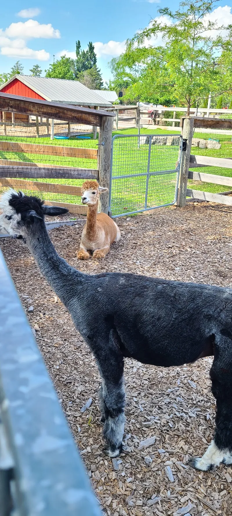 Brampton Zoological Park zoo in Brampton, ON