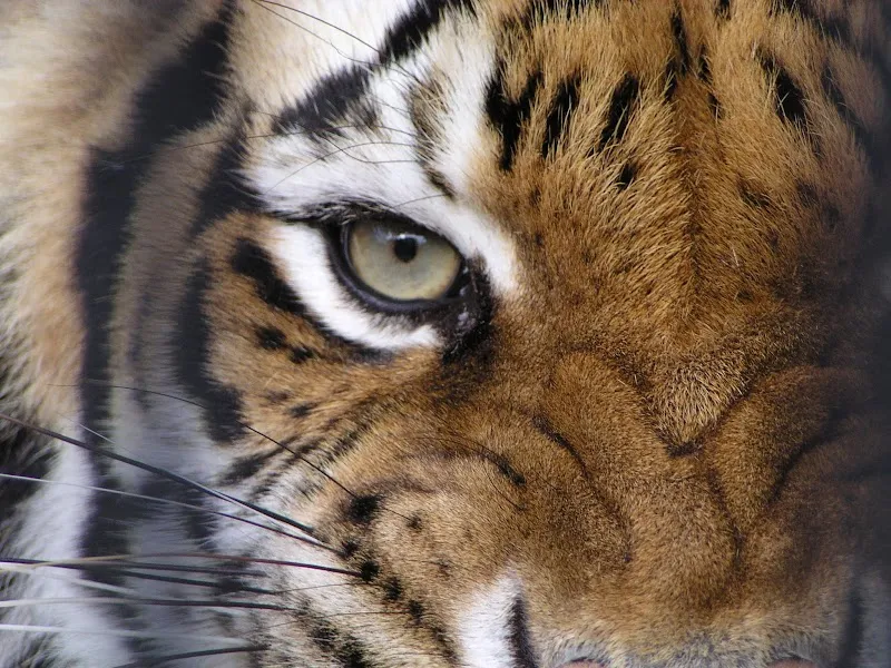 BREC's Baton Rouge Zoo zoo in Baton Rouge, LA