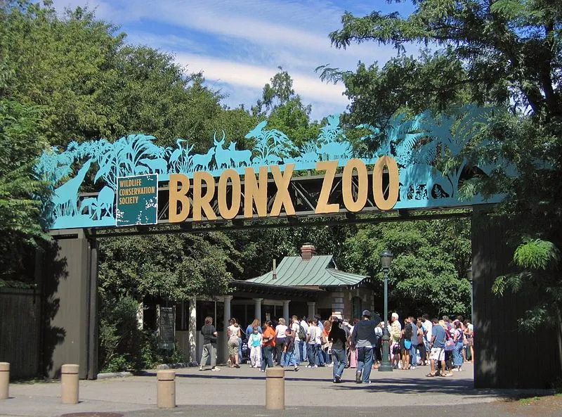 Bronx Zoo zoo in Bronx, NY