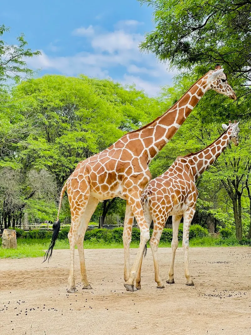 Brookfield Zoo zoo in Brookfield, IL