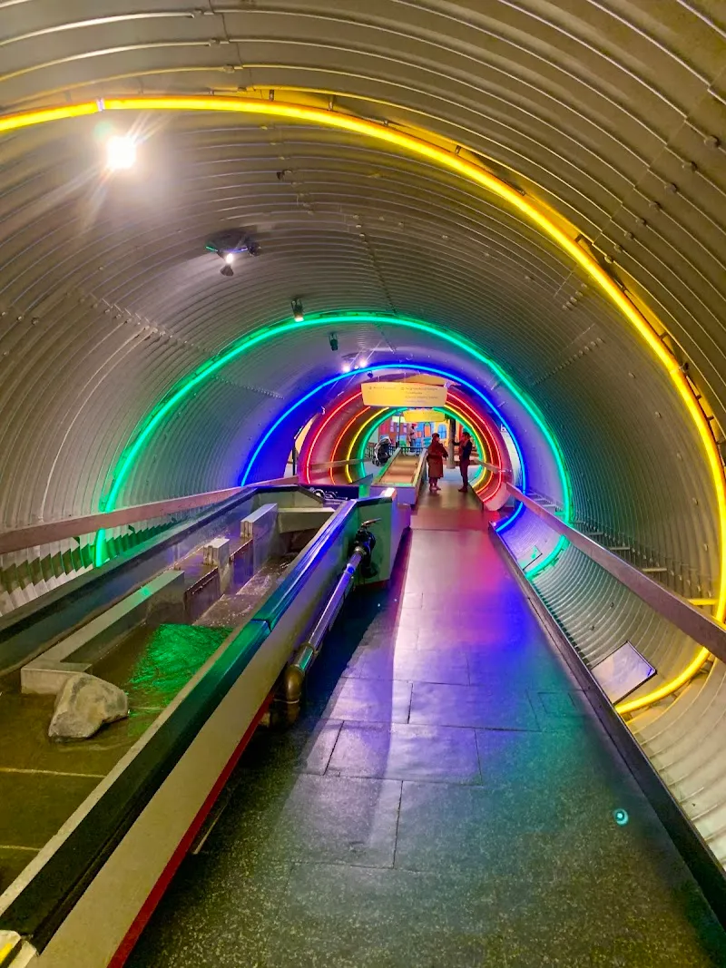 Brooklyn Children's Museum tourist attraction in New York City, NY