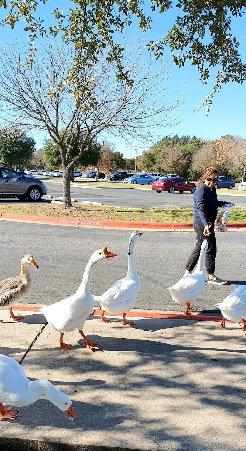 Brushy Creek Regional Trail route in Avery Ranch, TX
