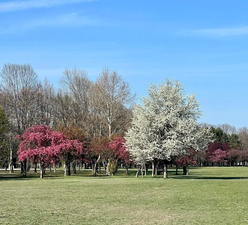Óbuda Island island in Óbuda, Budapest