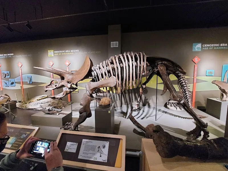 Buffalo Museum of Science tourist attraction in Buffalo, NY