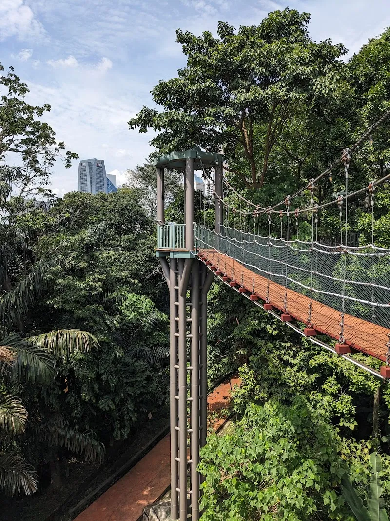 Bukit Nanas Forest Reserve nature in Kuala Lumpur, KL