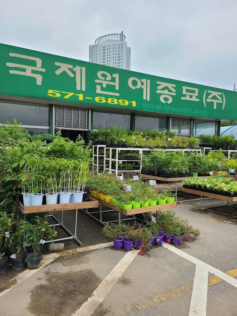 Bundang Wildflower Garden (분당 야생화정원) garden in Bundang, GG