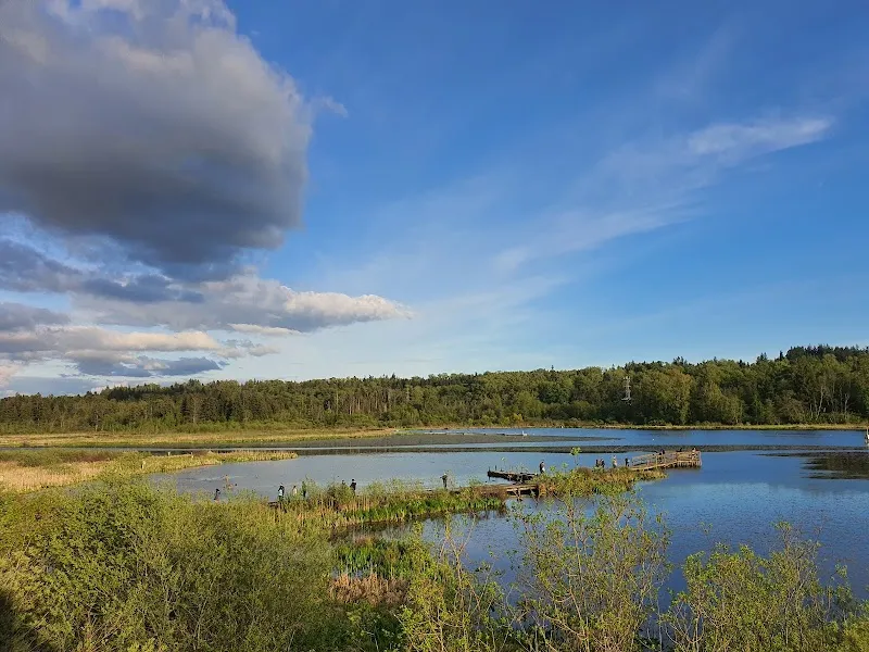 Burnaby Lake Regional Park park in Vancouver, BC