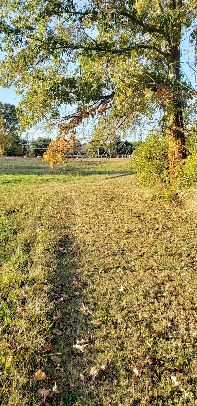 Busey Road Park park in Pickerington, OH