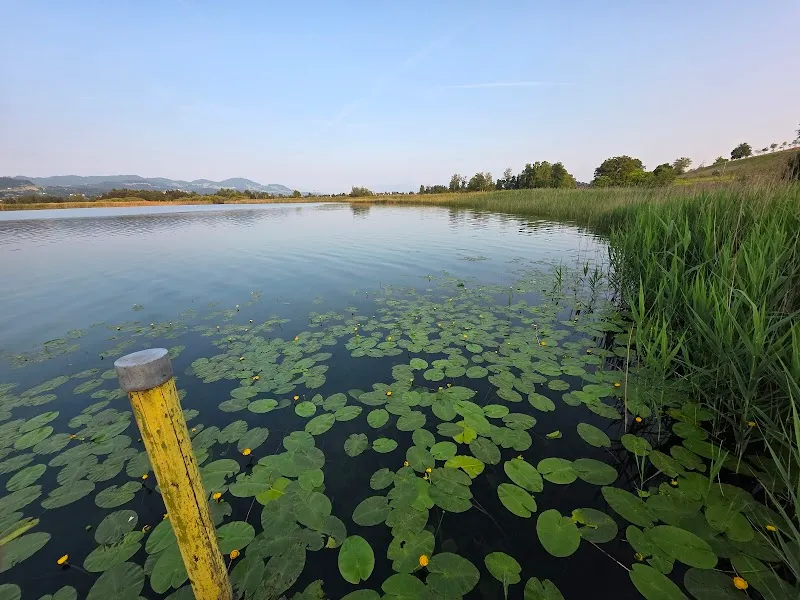 Café zum Fischersteg cafe in Greifensee, ZH