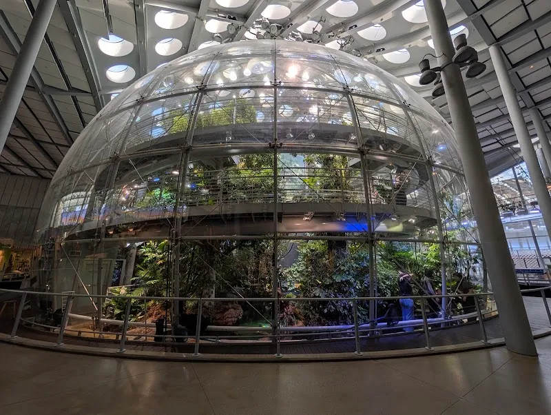 California Academy of Sciences research institute in San Francisco, CA