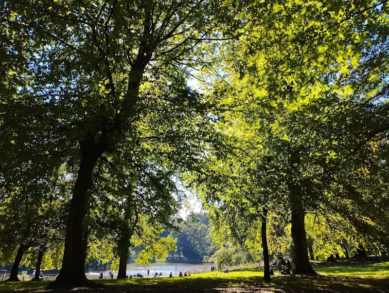 Cambre Woods park in Brussels, BRU