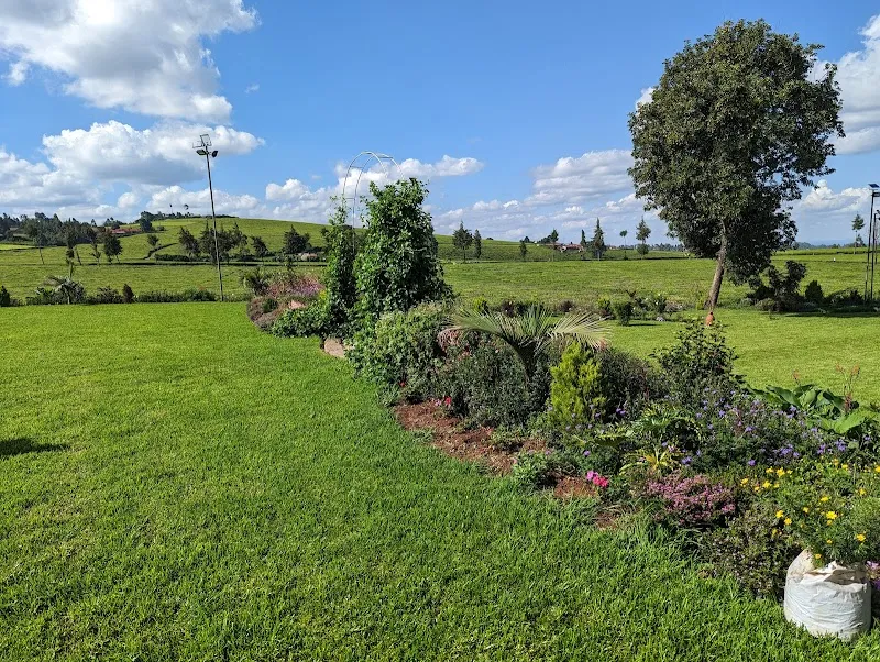 Camellia Gardens Limuru garden in Muthaiga, Nairobi