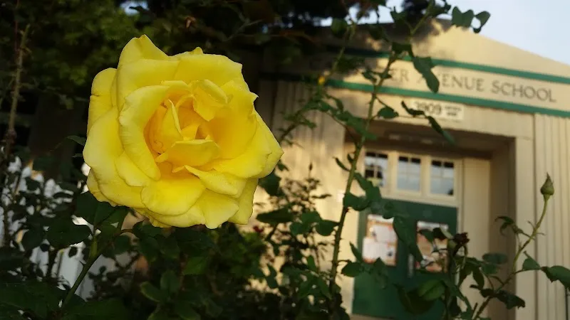 Carpenter Community Charter School primary school in Studio City, CA