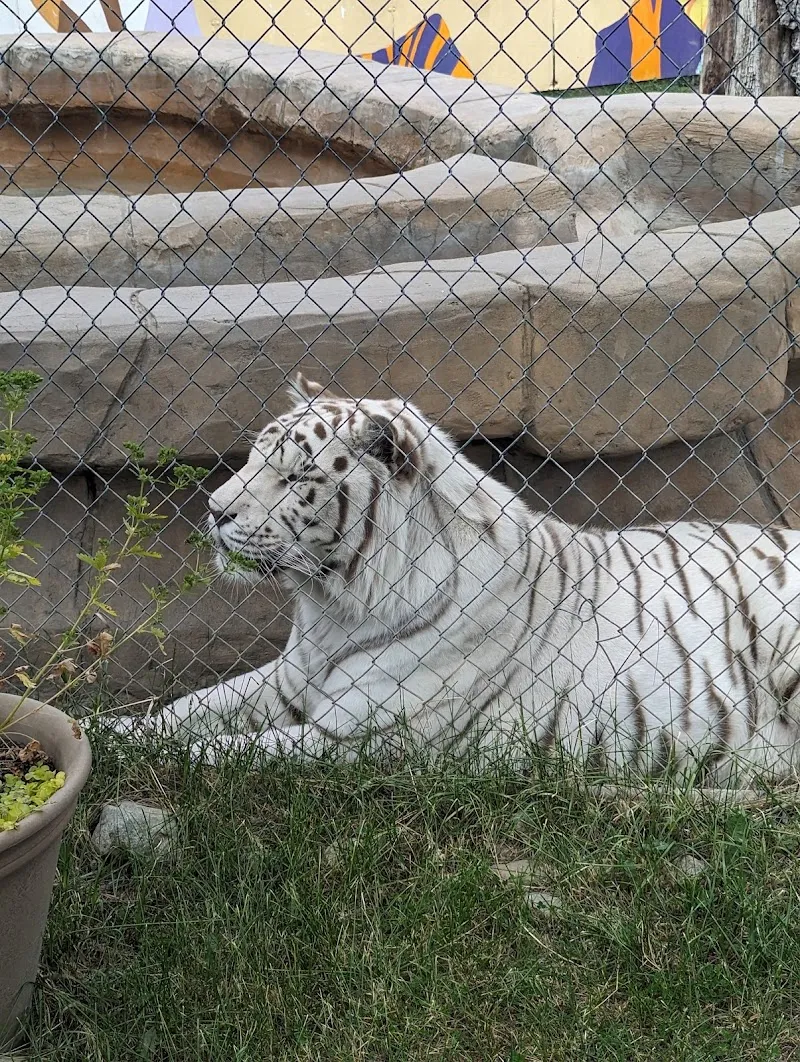Cat Tales Wildlife Center zoo in Spokane, WA