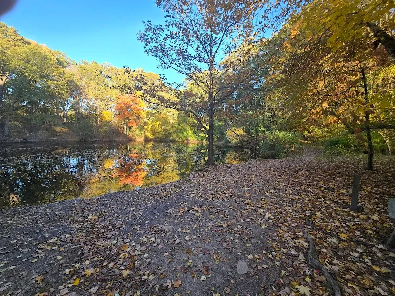 Centennial Reservation park in Wellesley, MA