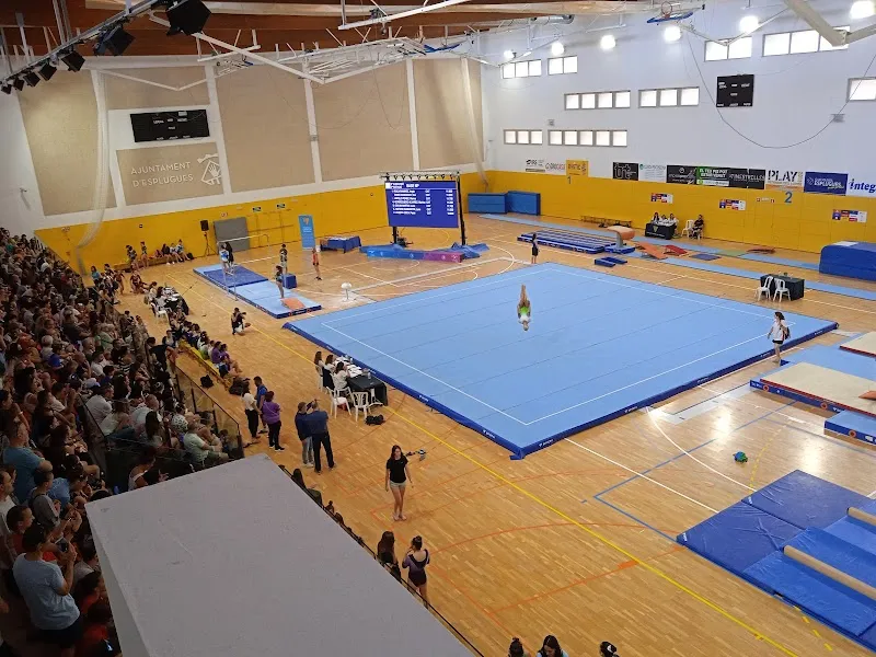 Centre Esportiu Municipal de Can Framis sports in Esplugues de Llobregat, CT