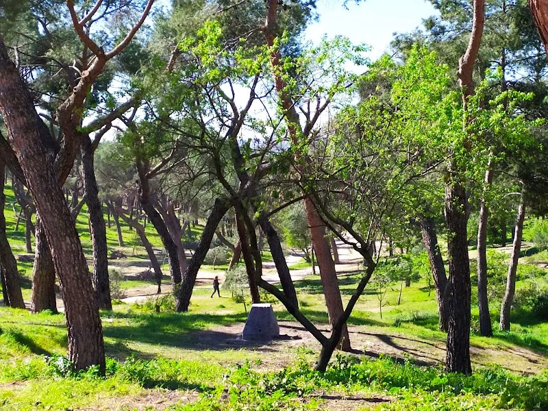 Centro de Información y Educación Ambiental Dehesa de la Villa amusement center in Las Rozas de Madrid, Madrid