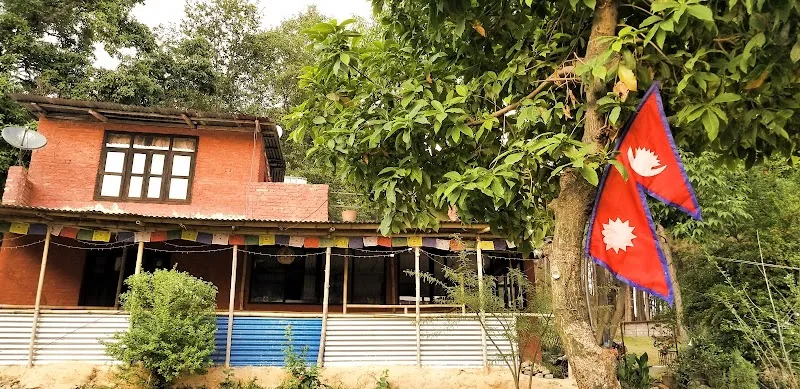 Changunarayan Organic Vegetable Farm farm in Changunarayan, Bagmati