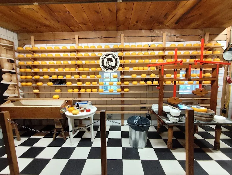 Cheese farm 'De Catharina Hoeve' food in Zaanse Schans, NH