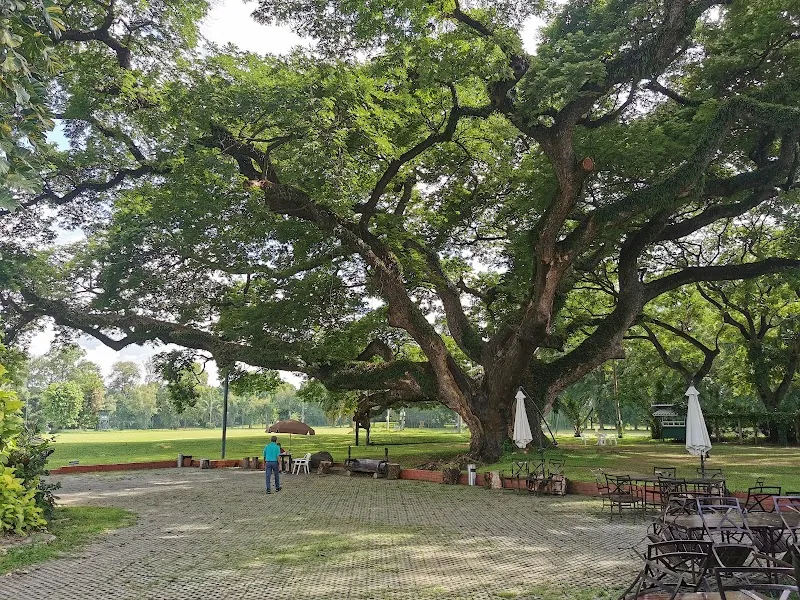 Chiang Mai Family Golf Club sports in Chiang Mai, CM