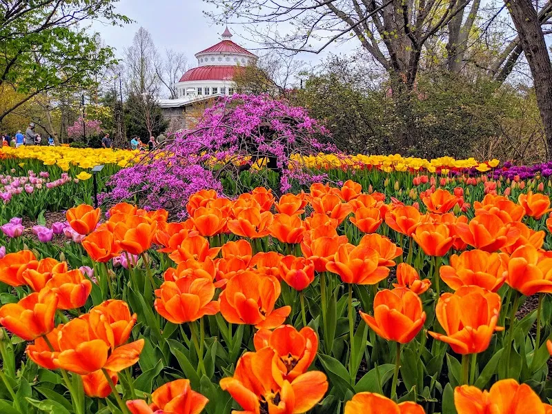 Cincinnati Zoo & Botanical Garden zoo in Cincinnati, OH