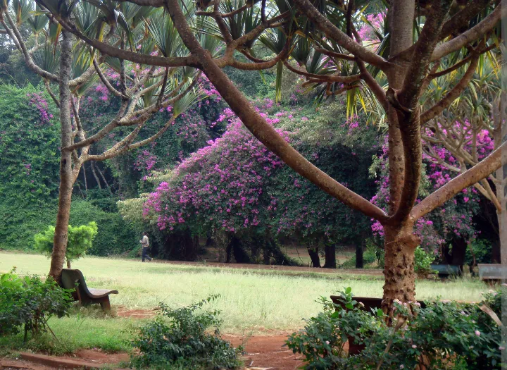 City Park park in Nairobi, NBO