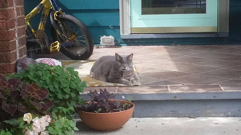 Clintonville Community Market grocery store in Clintonville, OH