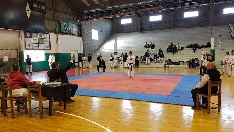 Club Municipality of the City of Vicente López association or organization in Vicente López, BA