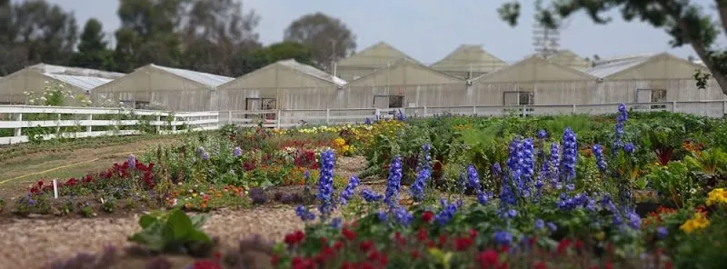 Coastal Roots Farm farm in Encinitas, CA